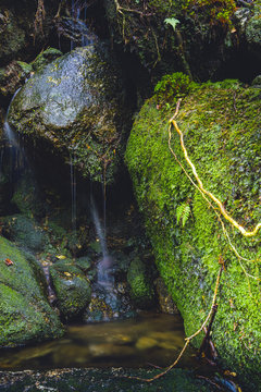 Wasserfall, Yakushima Japan