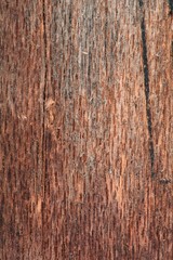 Wood texture