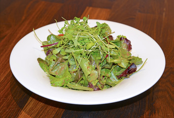 Fresh green salad on plate