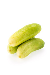 Cucumber