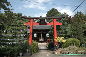Shinto gate in the buddhist Kaiko Temple, Kyoto, Japan