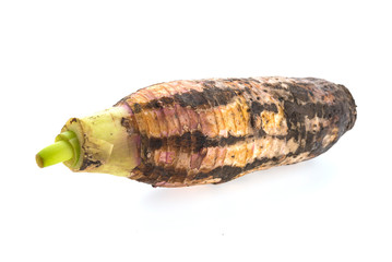 Taro root isolated on white background