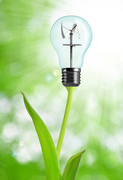 Bulb with wind turbine on plant - green energy concept