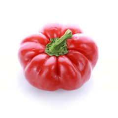 pepper on white background