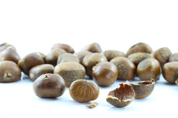 Chestnut on white background.