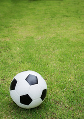 Fototapeta premium soccer ball on green grass