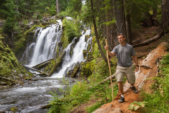 Hiking In The Oregon Forest