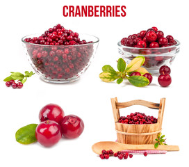 Iceberg lettuce isolated