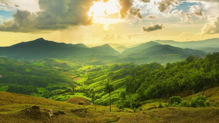 Foto auf Glas landscape with green corn field, forest, mountains © wiratgasem