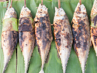 grilled torpedo scad ( Finny scad ) fish - Thai food