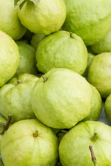 guava fruit