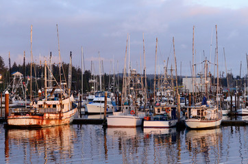 Fototapeta premium Commercial and private fishing boats at dock in Charleston OR