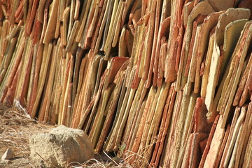 Scenes of Sicily