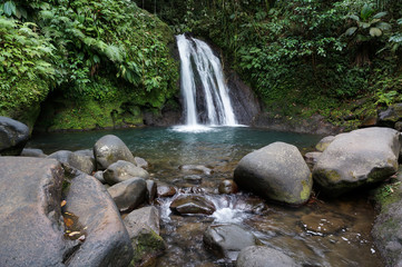 Fototapeta premium Cascade aux Ecrevisses in Guadeloupe