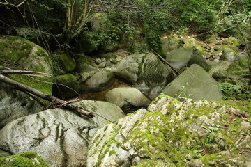 Rivière de la clarianelle,Pyrénées audoises
