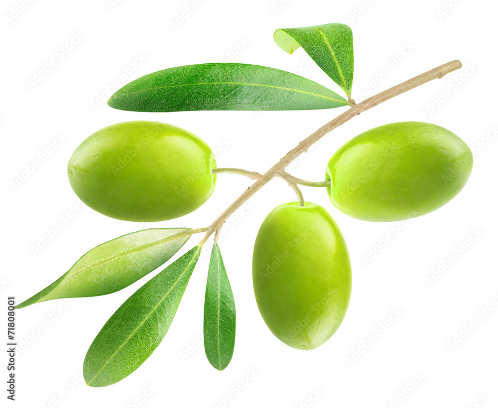 Poster Isolated olive. Branch with three green olives isolated on white, with clipping path