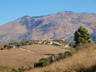 Rural landscape at Segesta, Sicily, Italy