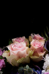 Delicate light-pink roses on a black background