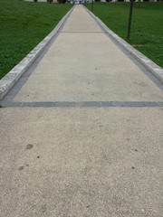 Strada nel parco