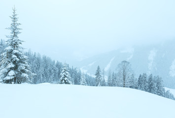 Winter mountain misty landscape