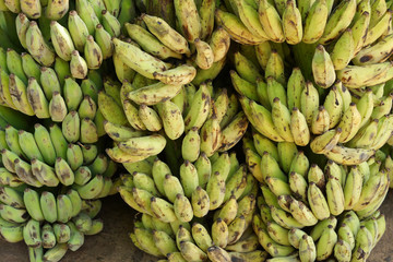 raw bananas