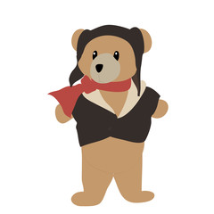 Aviator bear