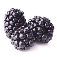 Fresh blackberry on white background