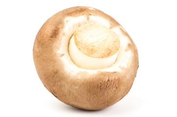 Fresh champignon mushroom