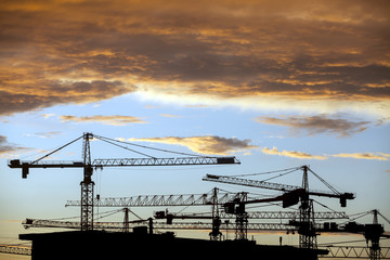 Cranes at dusk