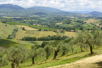 Obraz premium Summer landscape in Umbria (Italy)