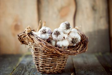 Garlic in a  basket on wooden table.