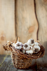Garlic in a basket on wooden table.