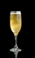 Fresh Chilled Beer in black background