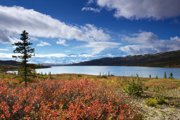 Mount McKinley from Wonder Lake with colourful landscape