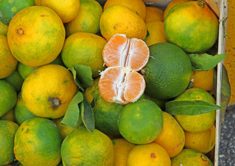 tangerines with green Peel from sicily  for sale at the market
