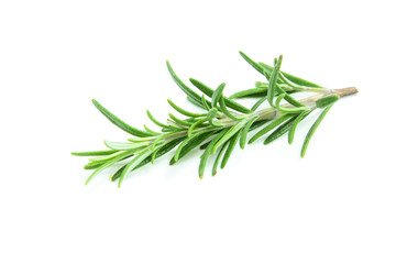 romarin © ALF photo