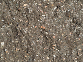 stone wall house