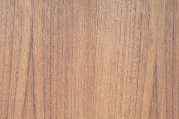 Fototapeta premium wood