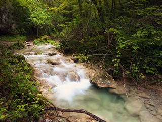 Details of Beusnita stream in Beusnita Natural Park