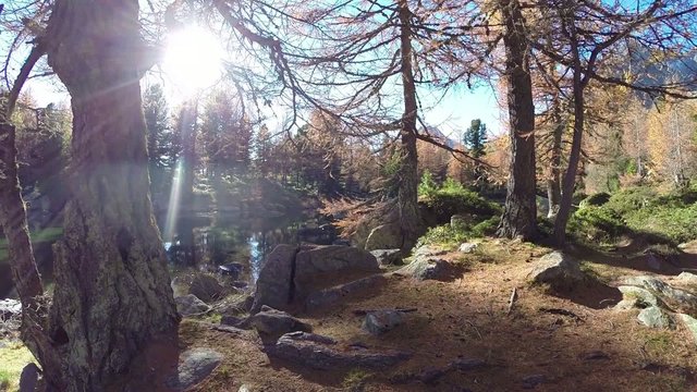 scorcio autunnale