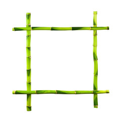 Green Bamboo Frame Isolated on White Background.