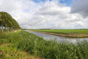Fototapeta premium Canal through a rural landscape at fall