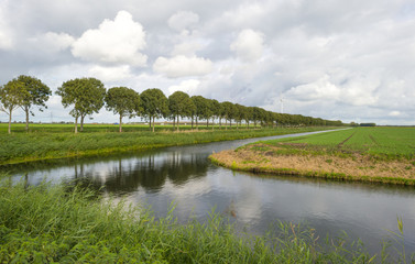 Trees reflecting in a canal at fall