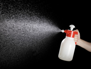Spray