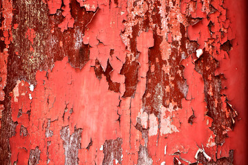 Cracked wood background for design-use