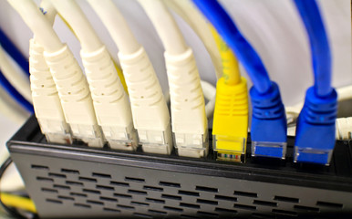 Close-up of computer network plugs connected to a router / switc