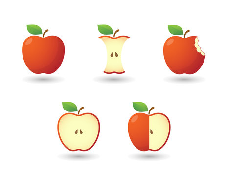 Apple illustration set