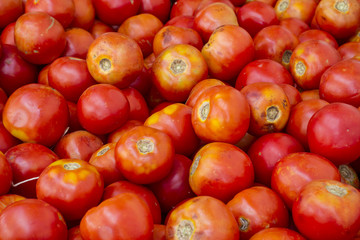 Tomatoes