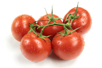 grappe de tomates