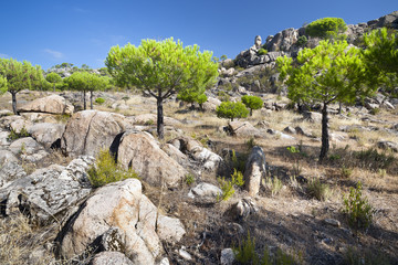 Cerro Alcornocoso en Cadalso de los Vidrios